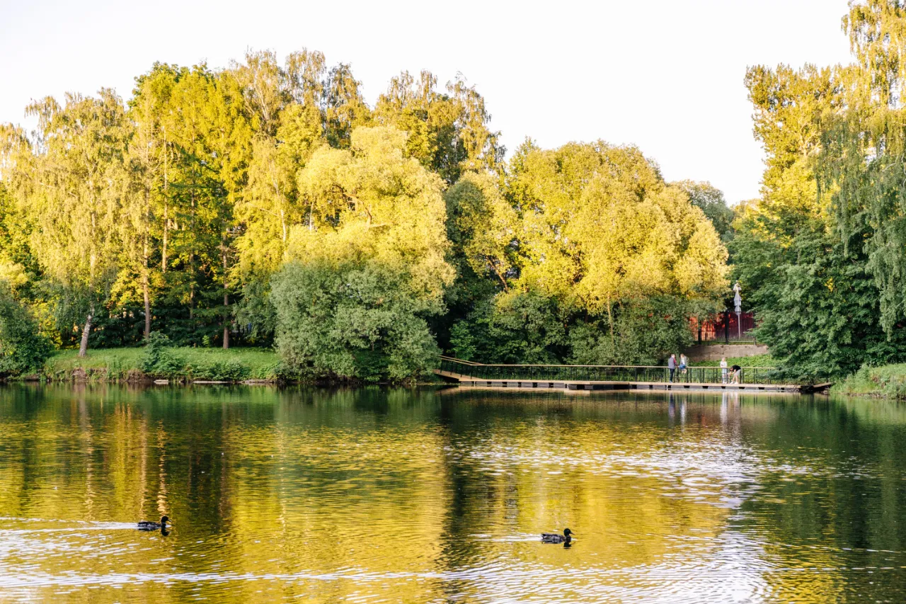 Парки