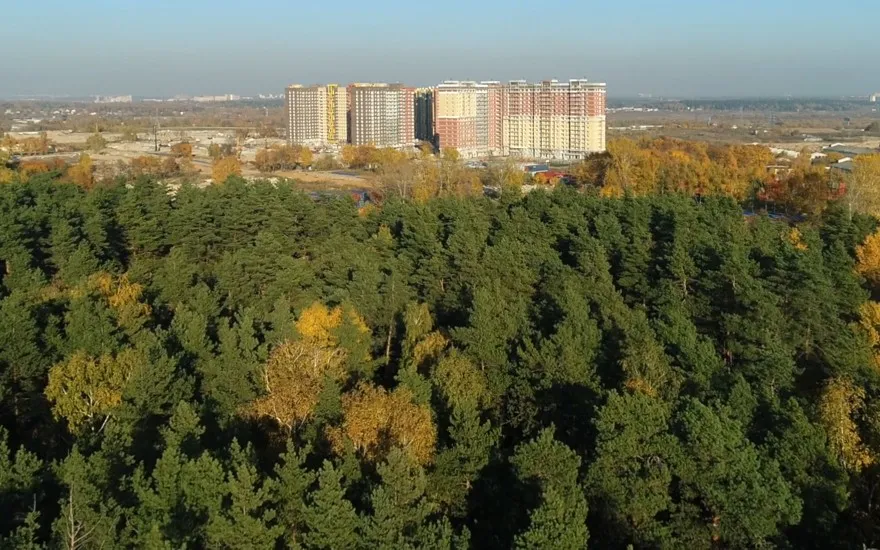 Парки
