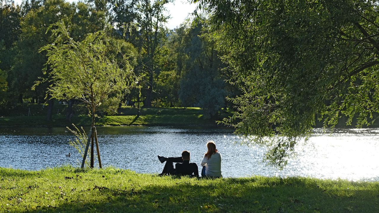 Парки
