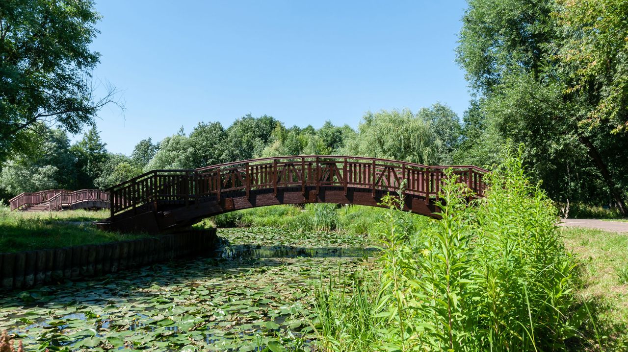 Парки